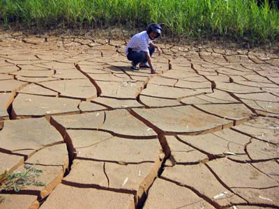 [-]Ninh[-]Thuận:[-]Phòng[-]ngừa[-]và[-]giảm[-]nhẹ[-]hậu[-]quả[-]hoang[-]mạc[-]hóa